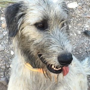 Meet your Posher, Kelli